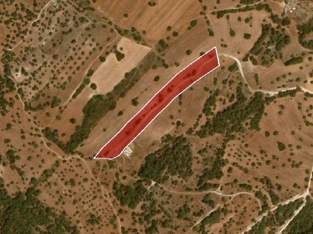 Field-New Chorio-PR33974