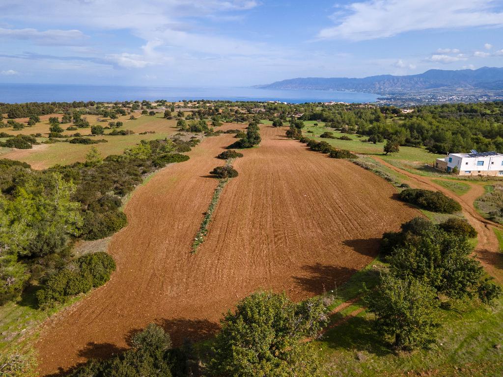 Field (Share) - Neo Chorio, Paphos