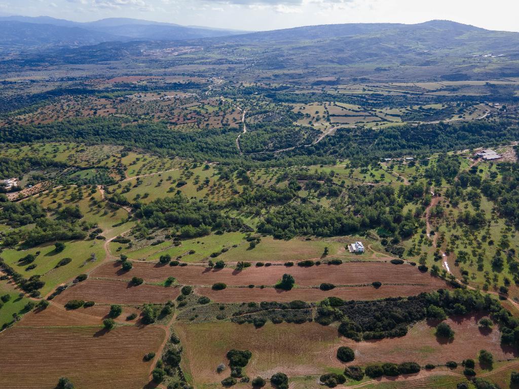 Field (Share) - Neo Chorio, Paphos