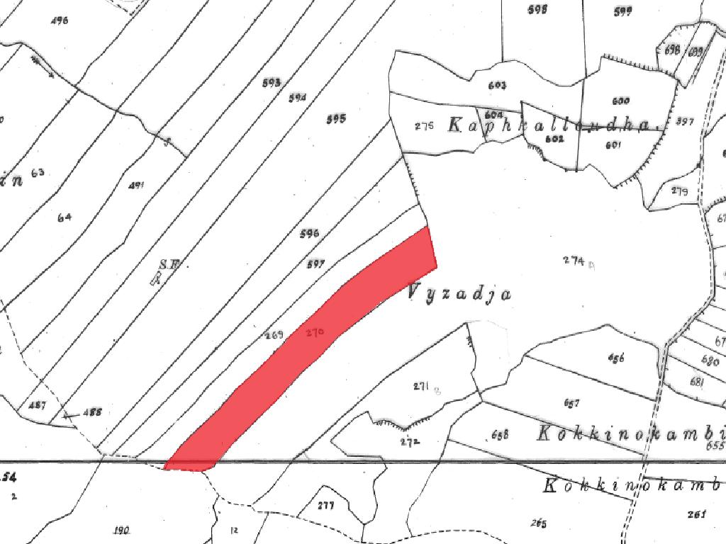 Field-New Chorio-PR33974