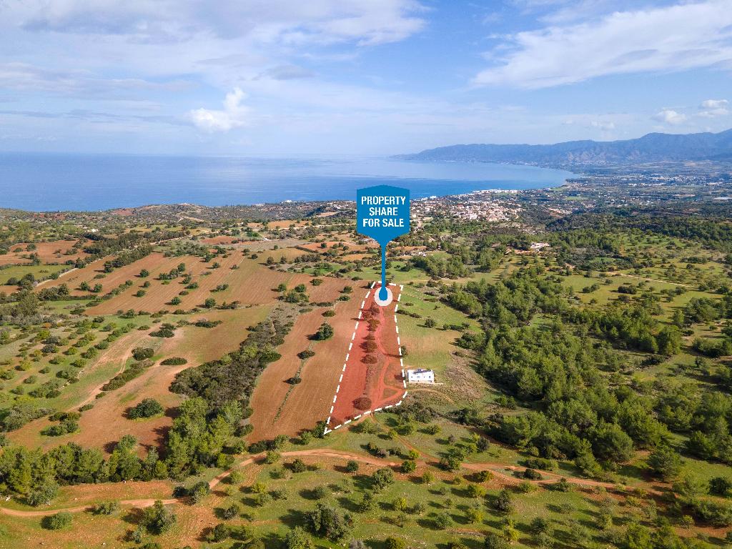 Field (Share) - Neo Chorio, Paphos