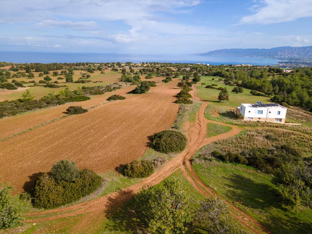 Field (Share) - Neo Chorio, Paphos