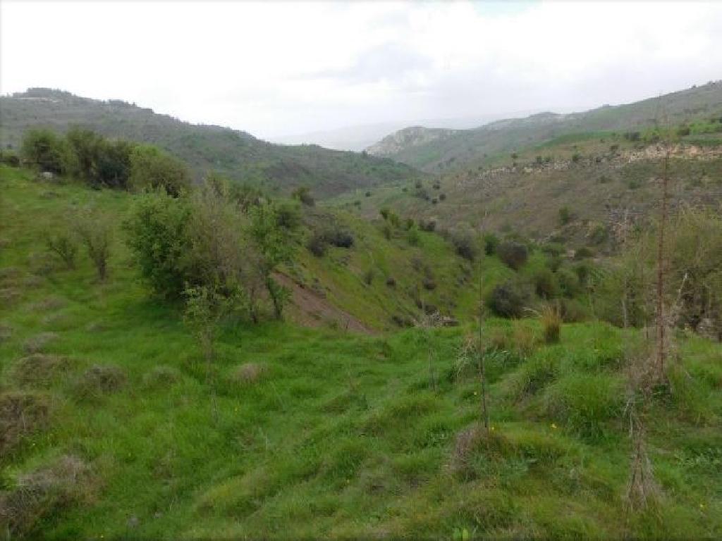 Field-Pentalia-PR34645