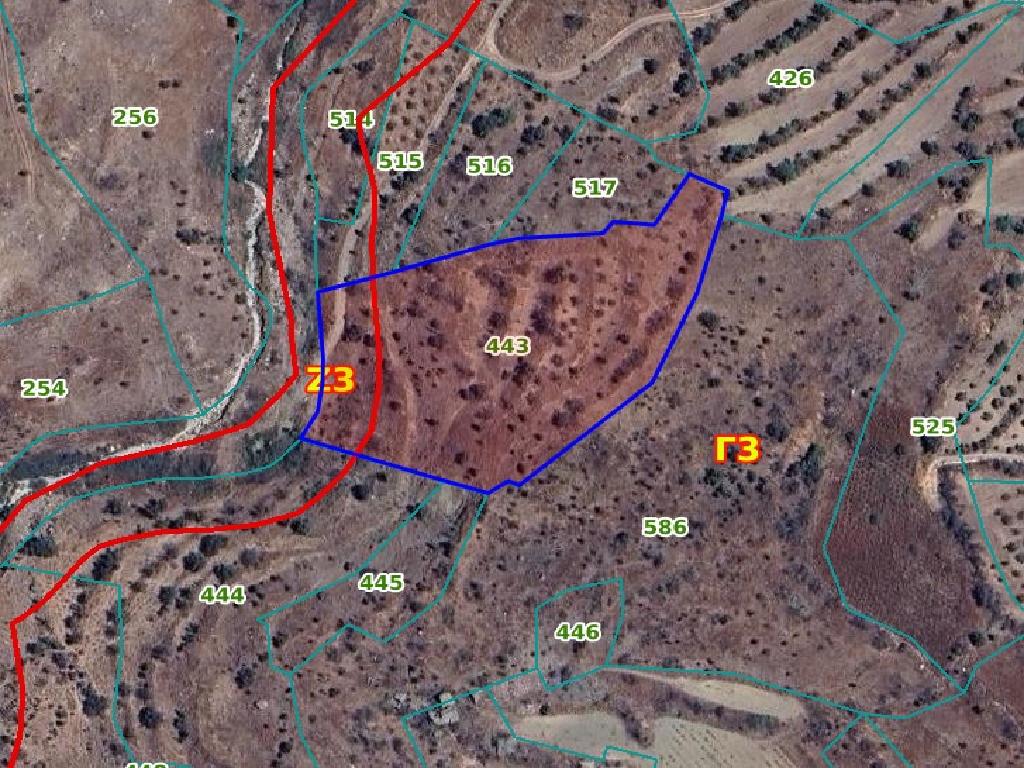 Field-Pentalia-PR34645