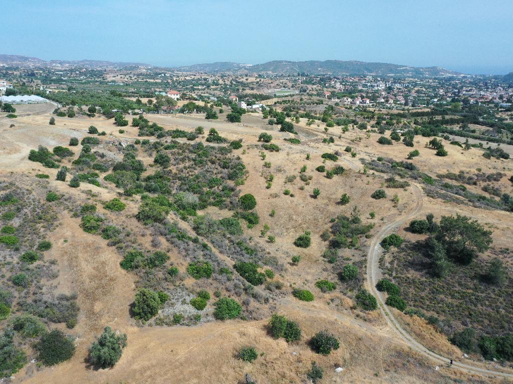 Field - Pyrgos, Limassol