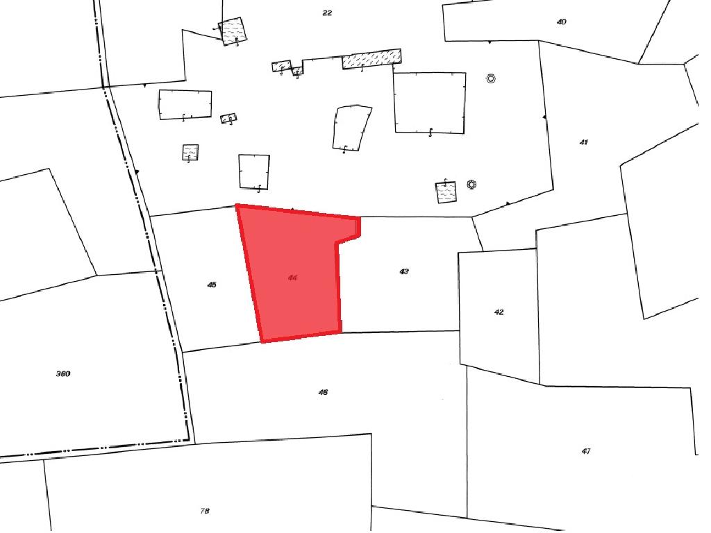 Field-Liopetri-PR37078