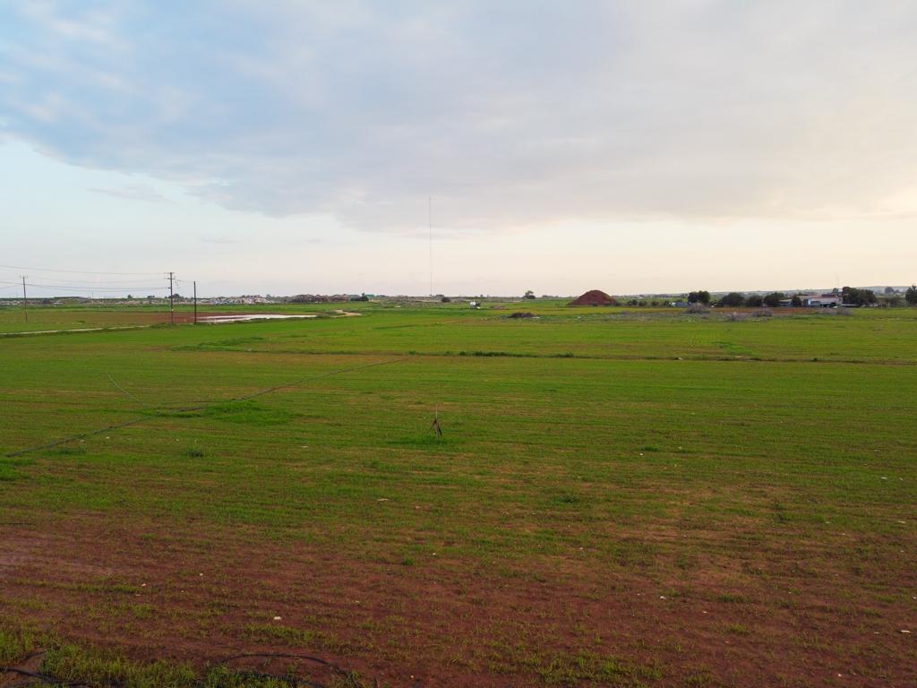Field-Liopetri-PR37078