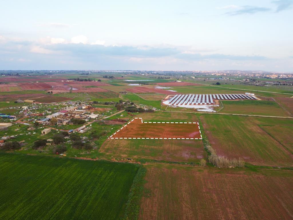 Field-Liopetri-PR37078