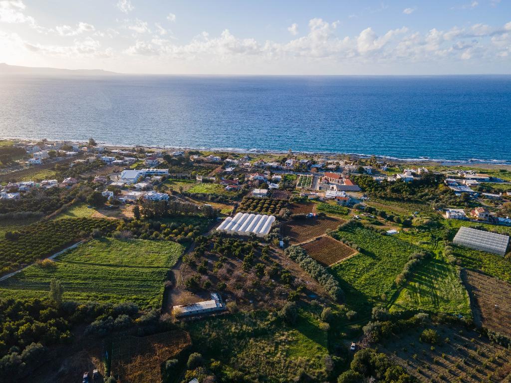 Field-Agia Marina (Chrysohous)-PR40784