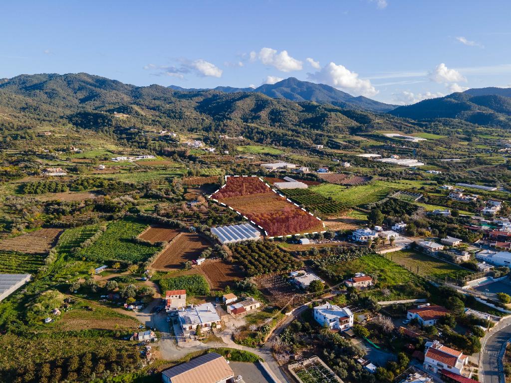 Field-Agia Marina (Chrysohous)-PR40784