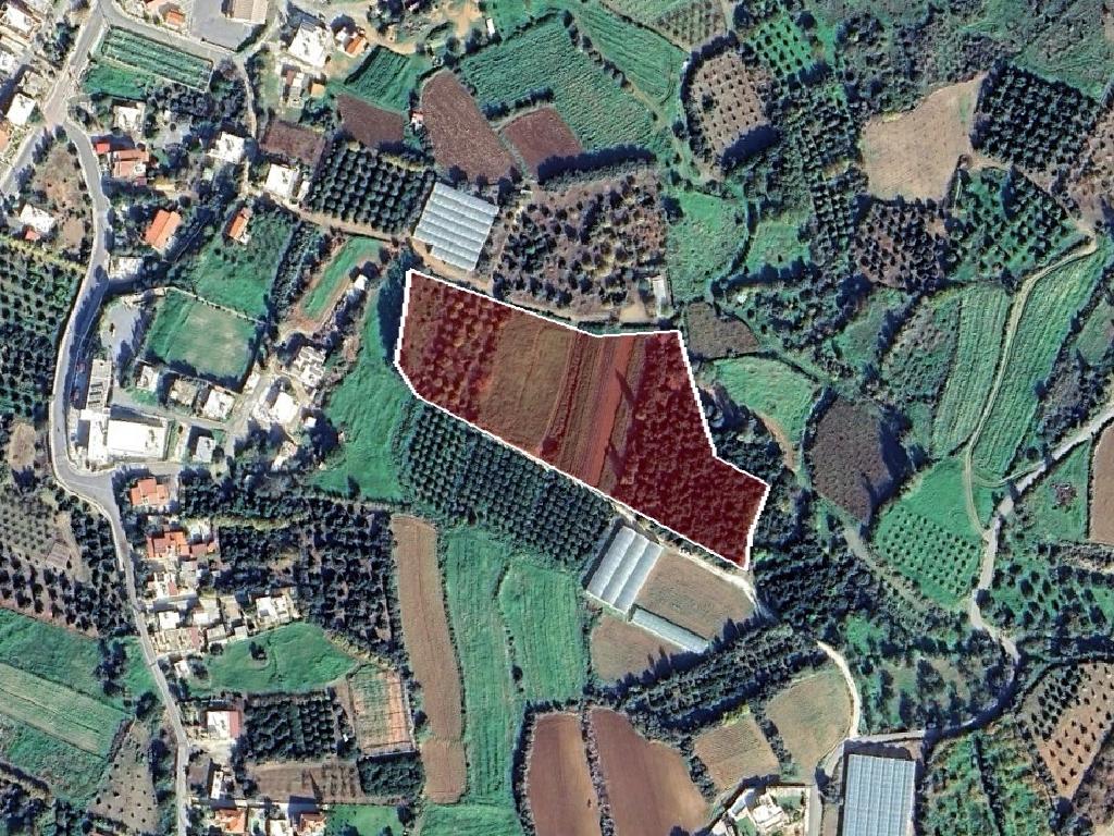 Field-Agia Marina (Chrysohous)-PR40784