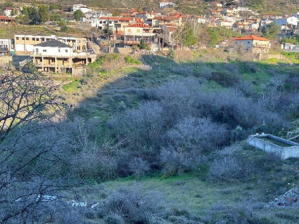Field-Farmakas-PR41872