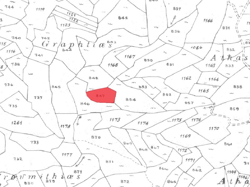 Field-Vasa Koilaniou-PR41947