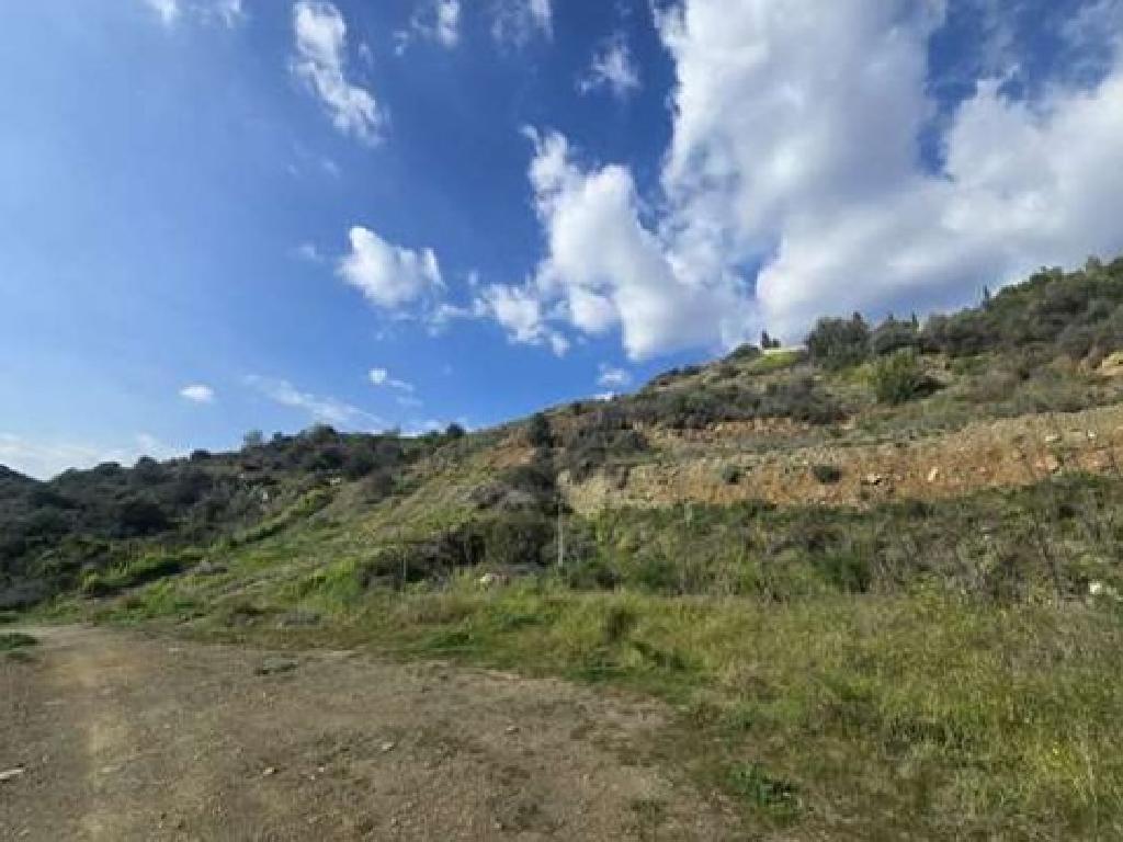Field - Lageia, Larnaca