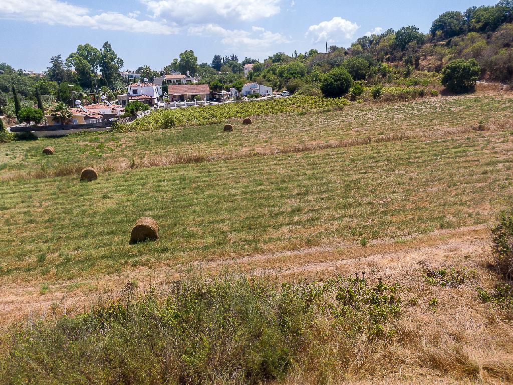 Field-Polemi-PR44886