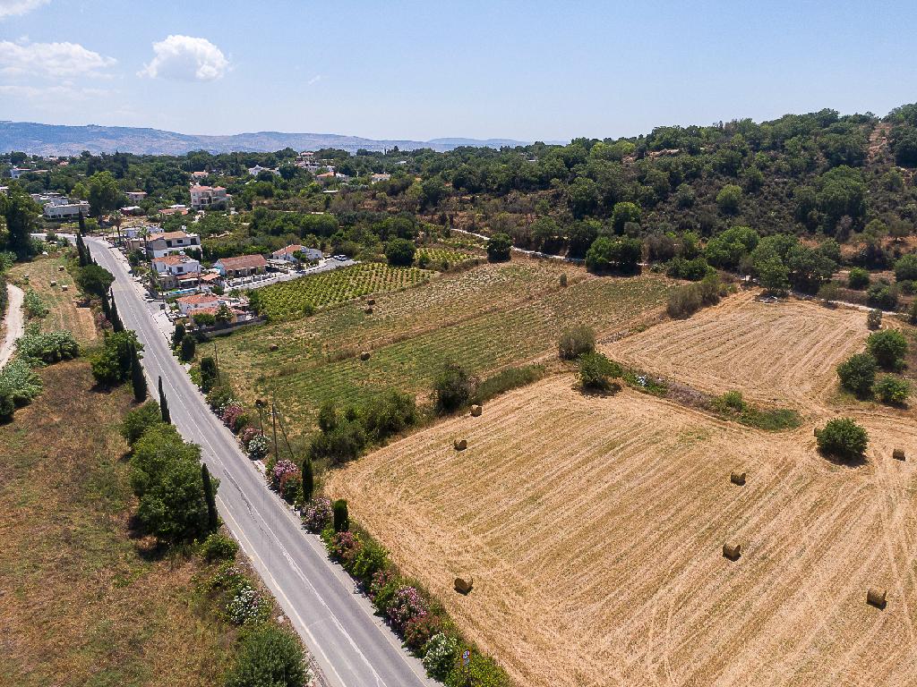 Field - Polemi, Paphos