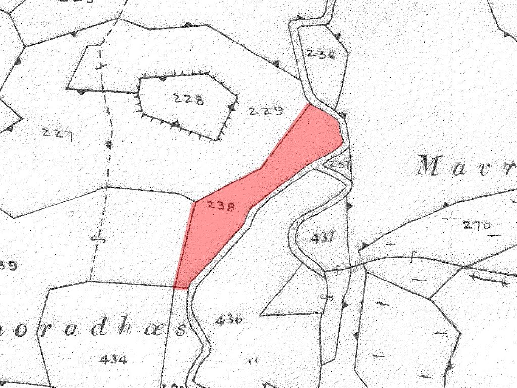 Field-Politiko-PR44932