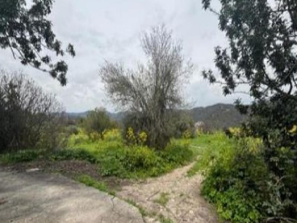 Field - Vavla, Larnaca