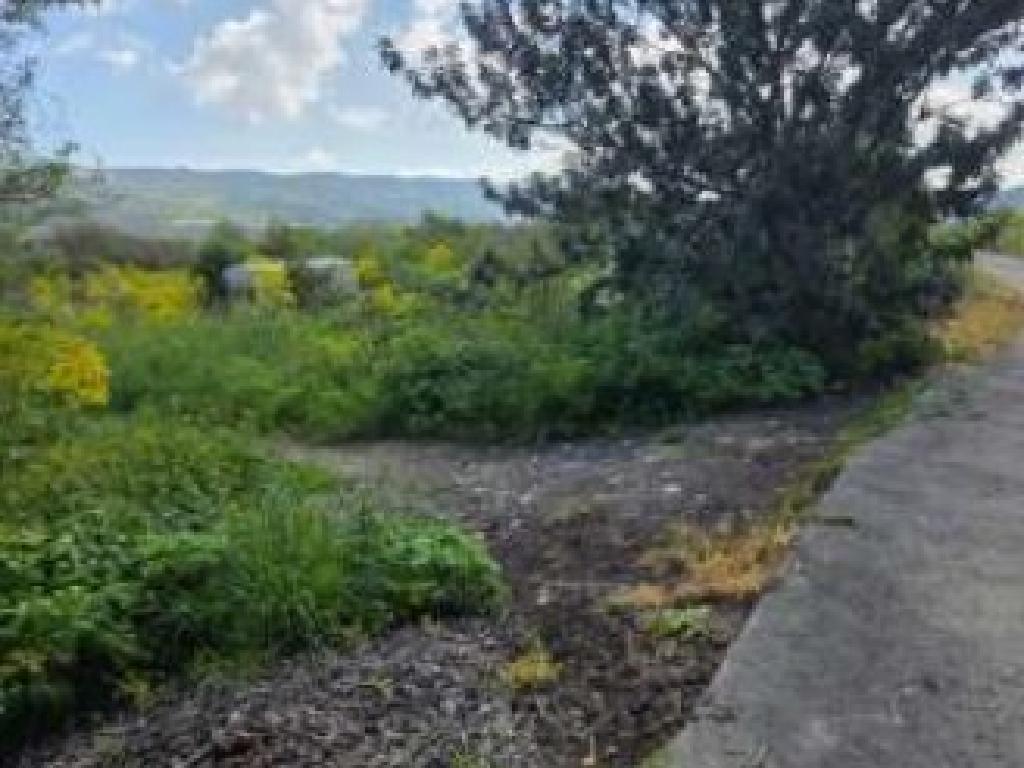 Field - Vavla, Larnaca