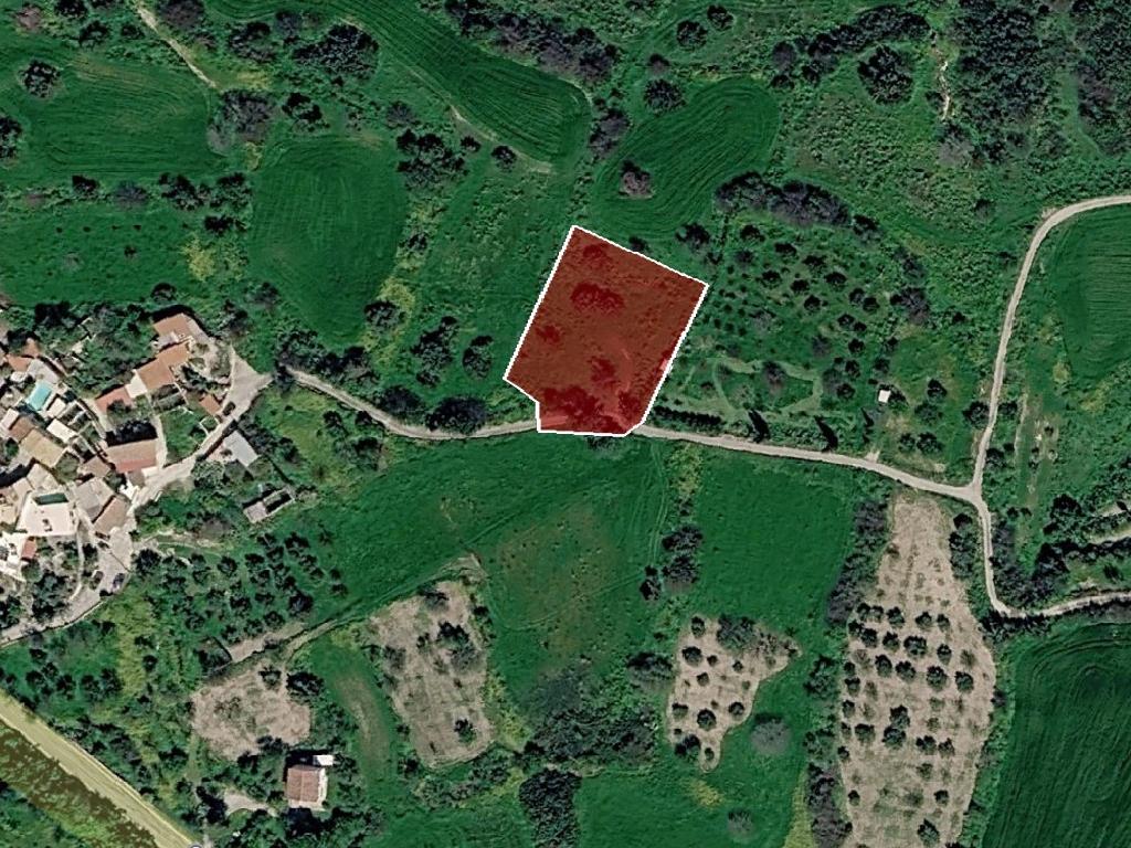 Field - Vavla, Larnaca