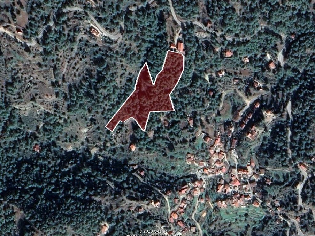 Field-Vavatsinia-PR11306
