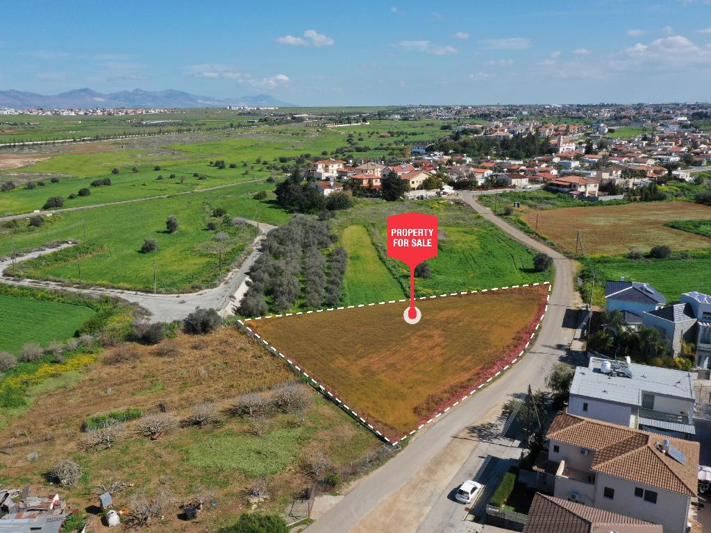 Field - Kokkinotrimithia, Nicosia