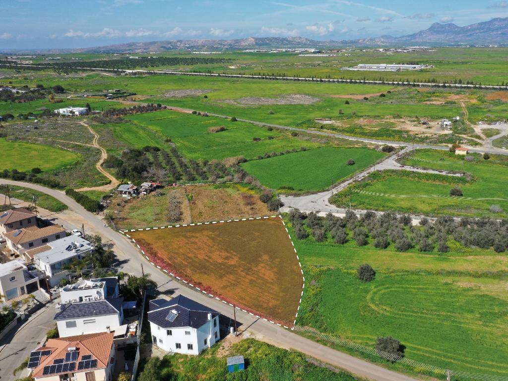 Field - Kokkinotrimithia, Nicosia