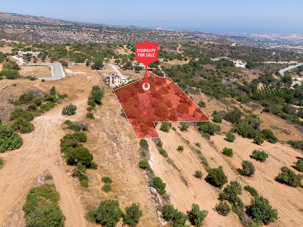 Field - Pano Akourdaleia, Paphos