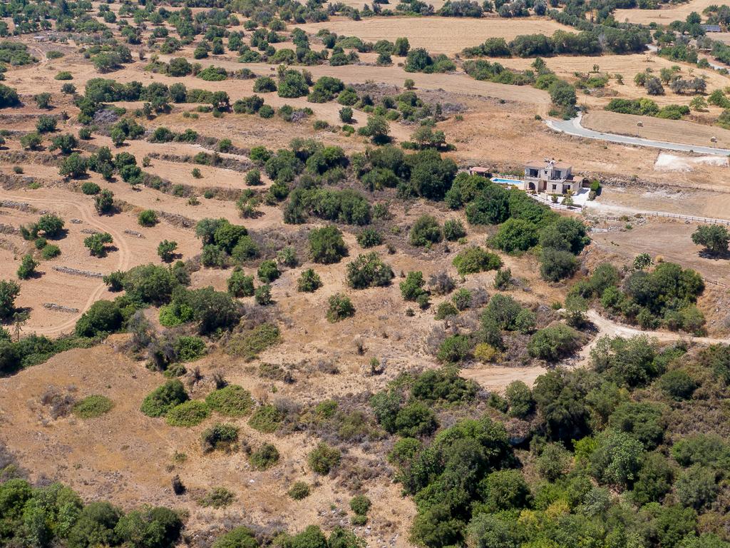 Field - Pano Akourdaleia, Paphos