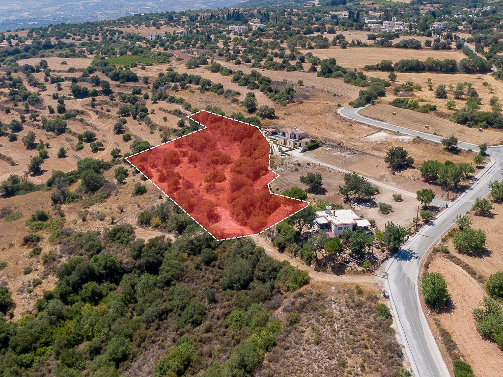 Field - Pano Akourdaleia, Paphos