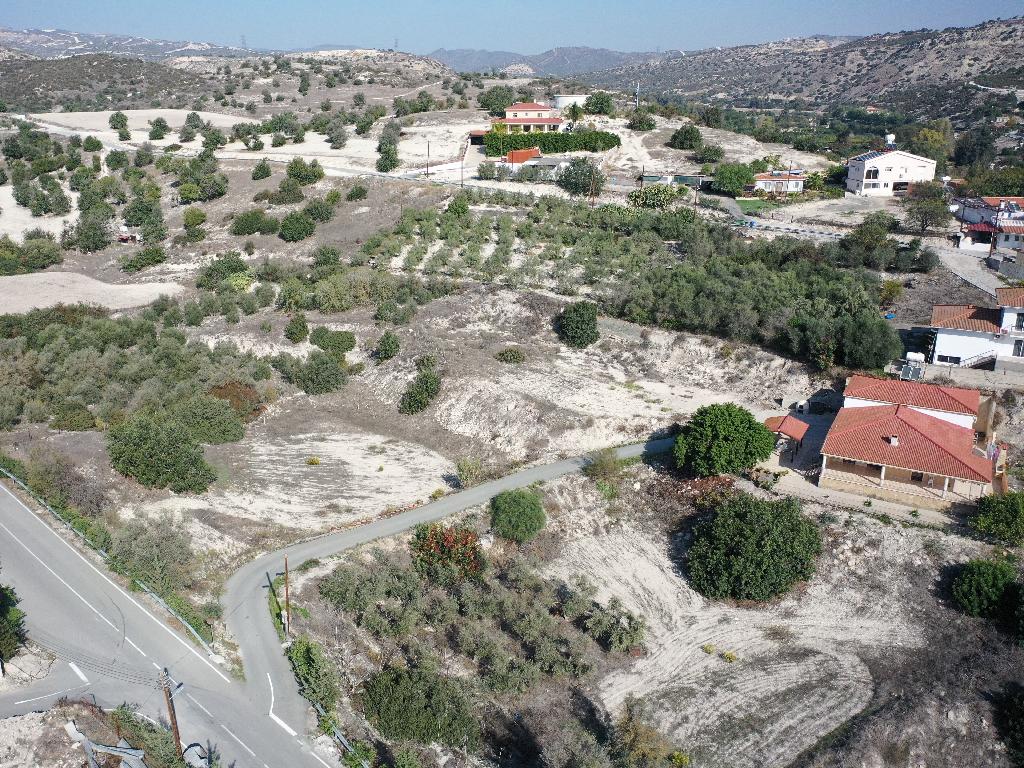 Field (Share) - Agios Theodoros, Larnaca