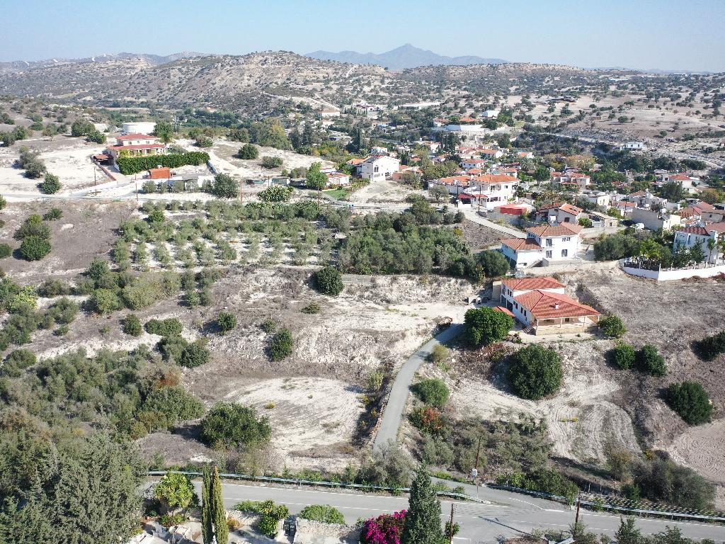 Field (Share) - Agios Theodoros, Larnaca