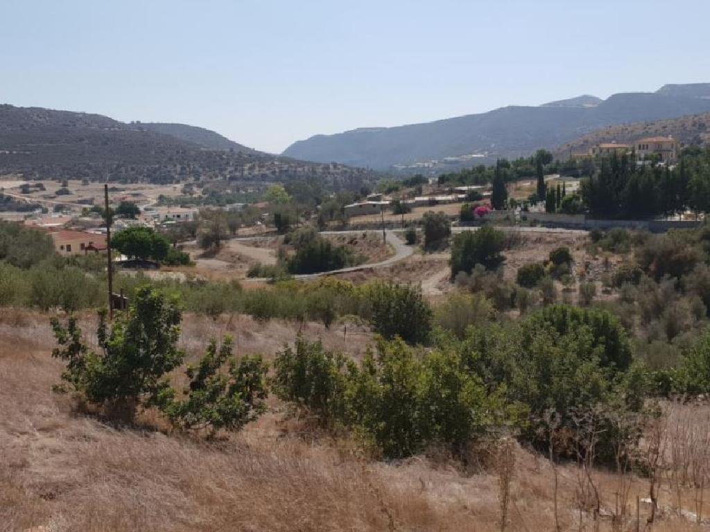 Field-Agios Theodoros-PR14027
