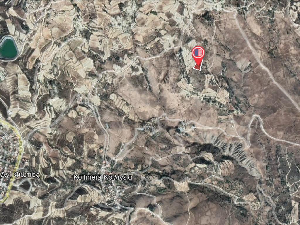 Field-Koilinia-PR32708
