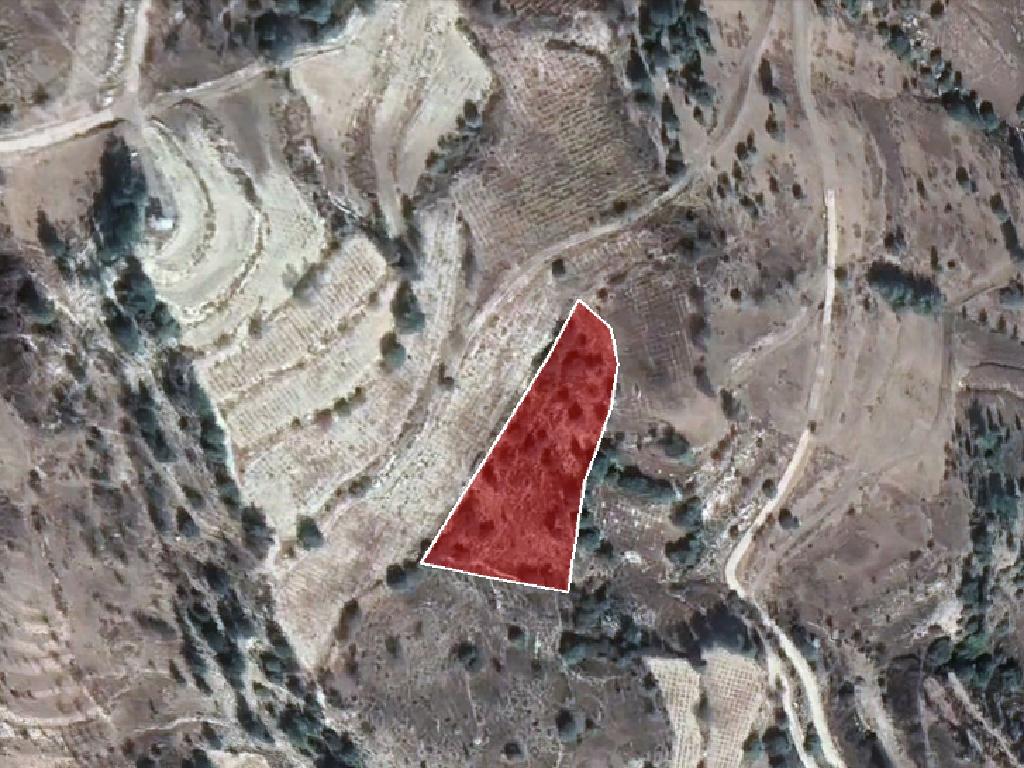 Field-Koilinia-PR32708