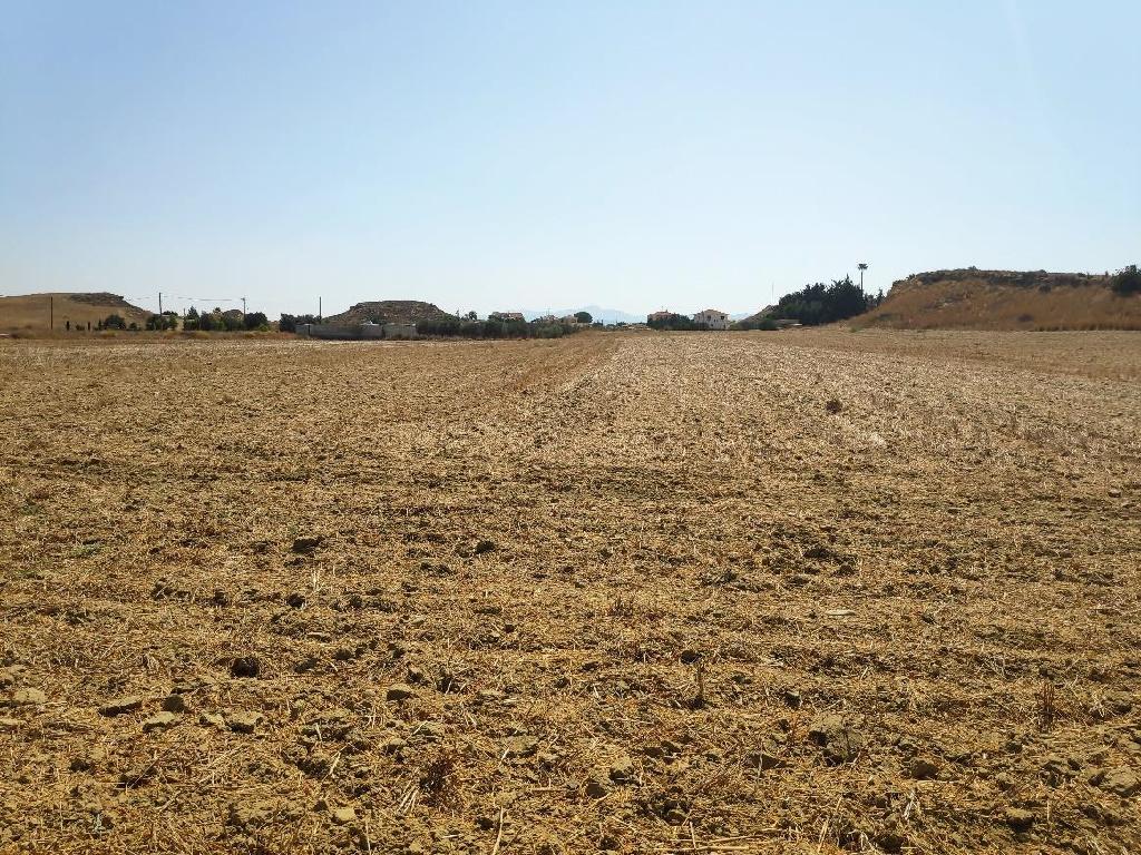 Field-Ergates-PR33491