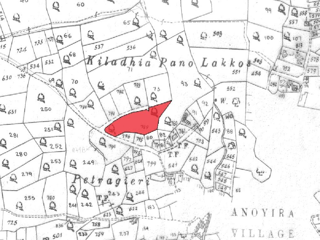 Field-Anogira-PR33986