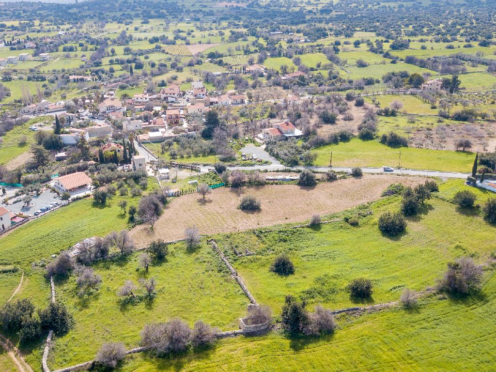 Field-Anogira-PR33986