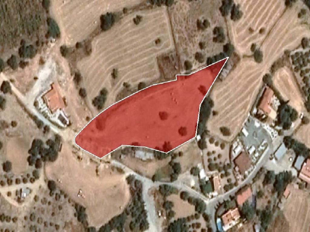 Field-Anogira-PR33986