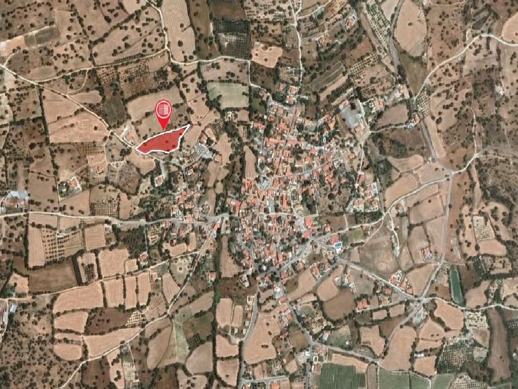 Field-Anogira-PR33986