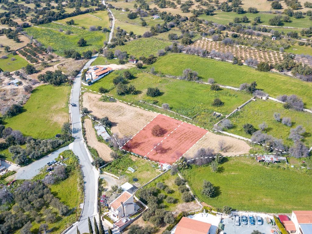 Field-Anogira-PR33986