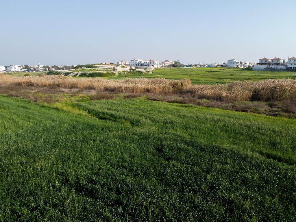 Field (Share) - Aradippou, Larnaca