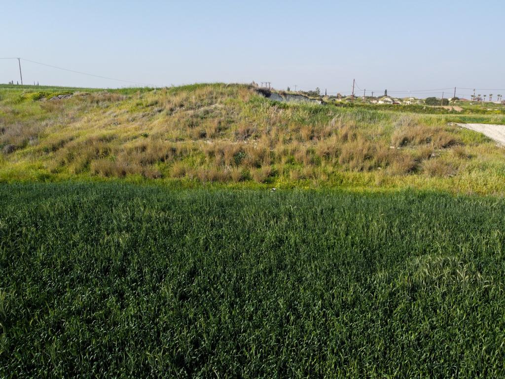 Field (Share) - Aradippou, Larnaca