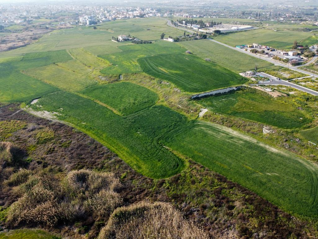 Field (Share) - Aradippou, Larnaca