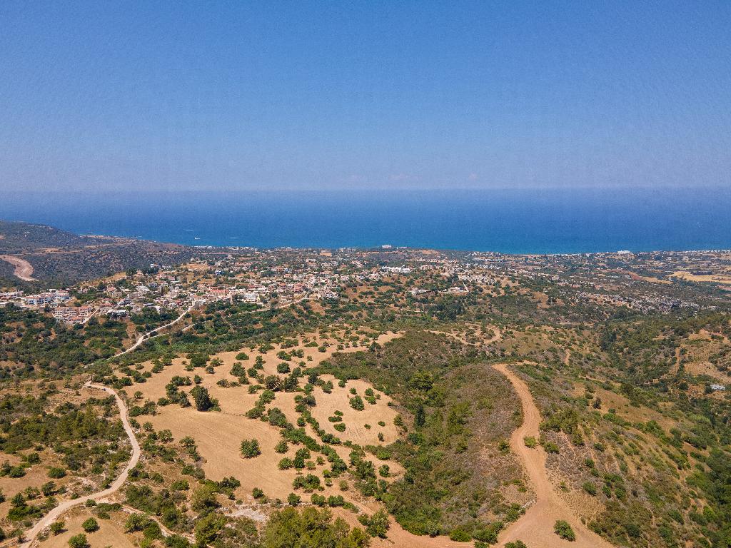 Field - Neo Chorio, Paphos