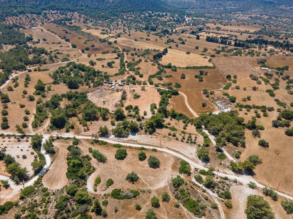 Field - Neo Chorio, Paphos