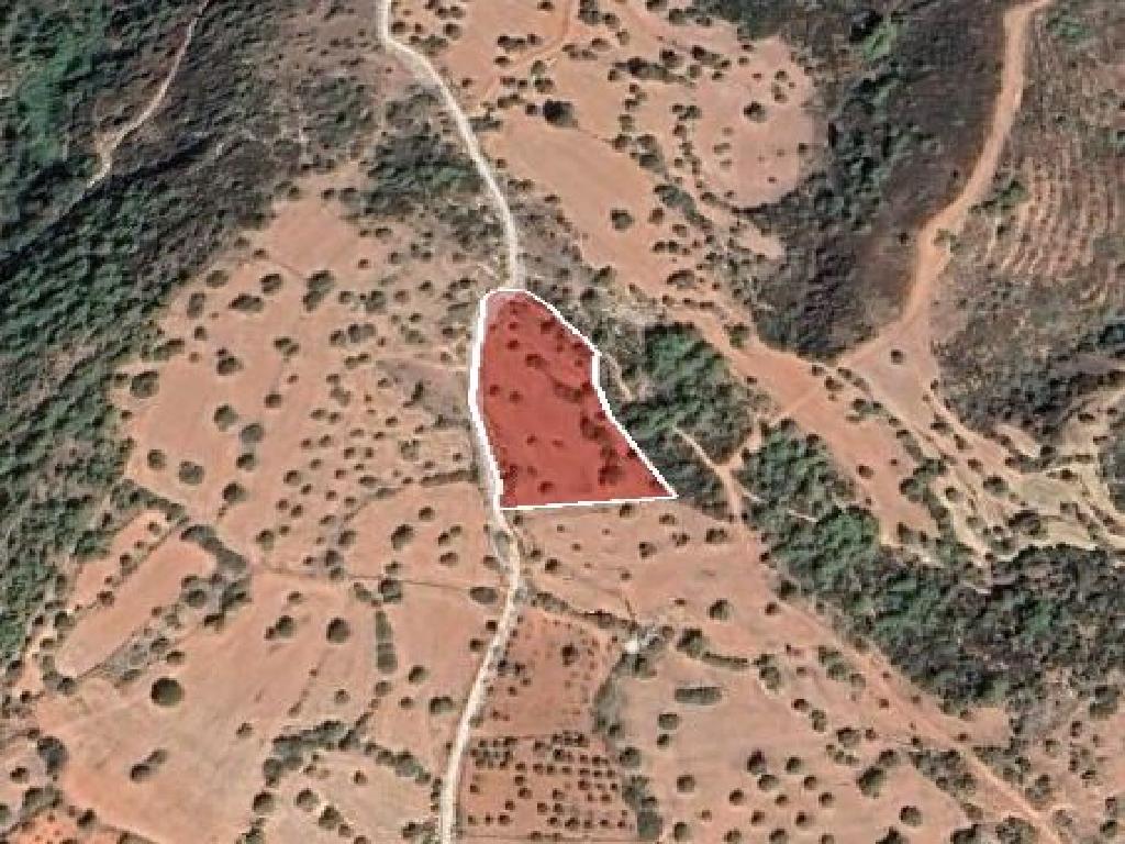 Field - Neo Chorio, Paphos
