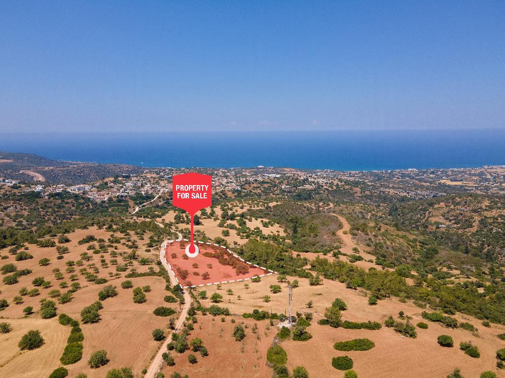 Field - Neo Chorio, Paphos