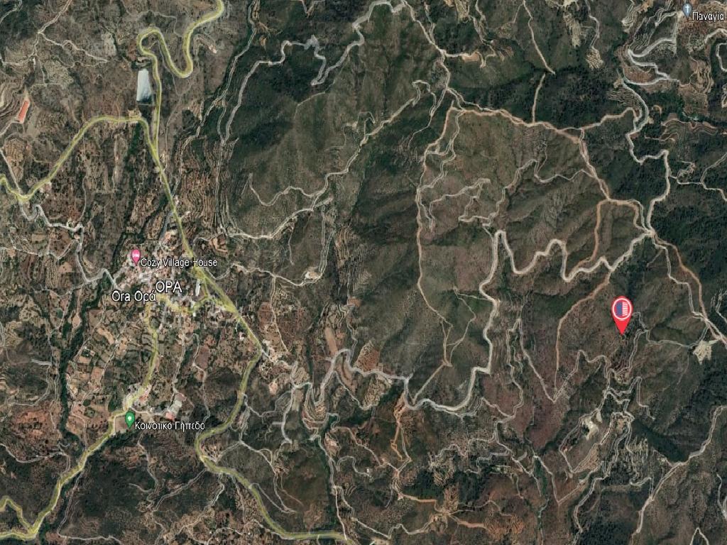 Field-Ora-PR36388