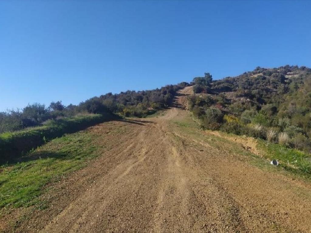 Field (Share) - Pano Lefkara, Larnaca